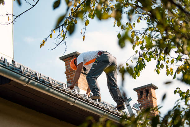 Gutter Replacement in Albers, IL