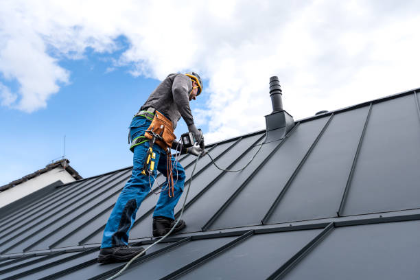 Best Sheet Metal Roofing  in Albers, IL